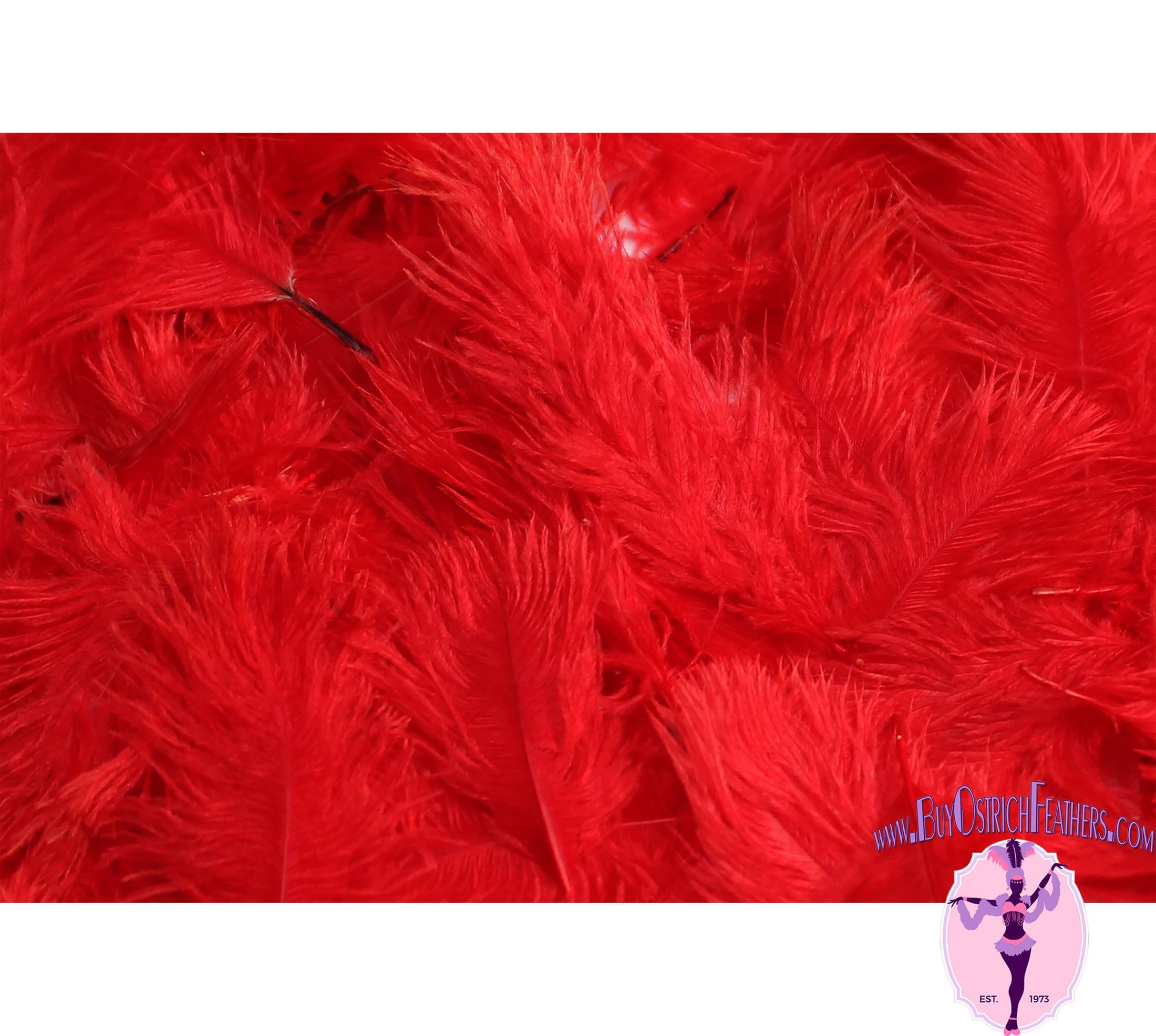 Confetti Craft Ostrich Feathers (Red) - Buy Ostrich Feathers