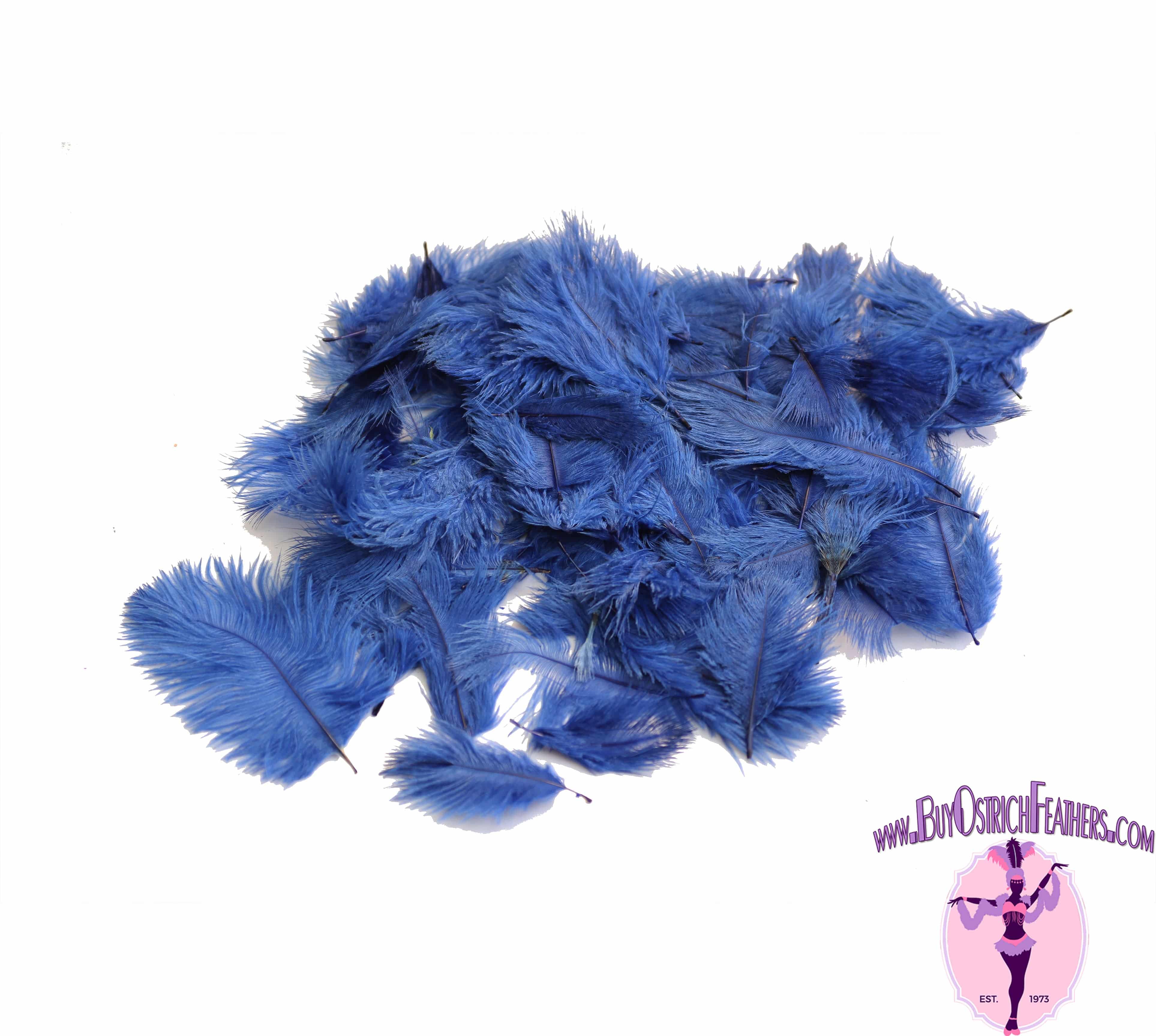 Confetti Craft Ostrich Feathers (Royal Blue)