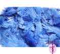 Load image into Gallery viewer, Confetti Craft Ostrich Feathers (Royal Blue) - Buy Ostrich Feathers
