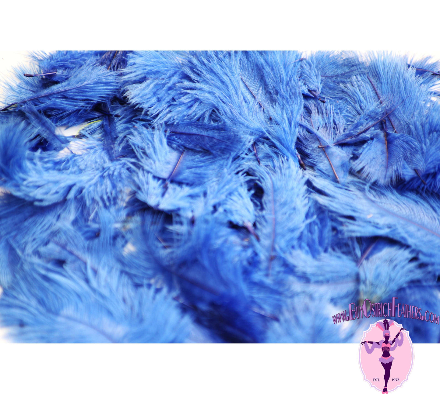 
                  
                    Confetti Craft Ostrich Feathers (Royal Blue) - Buy Ostrich Feathers
                  
                
