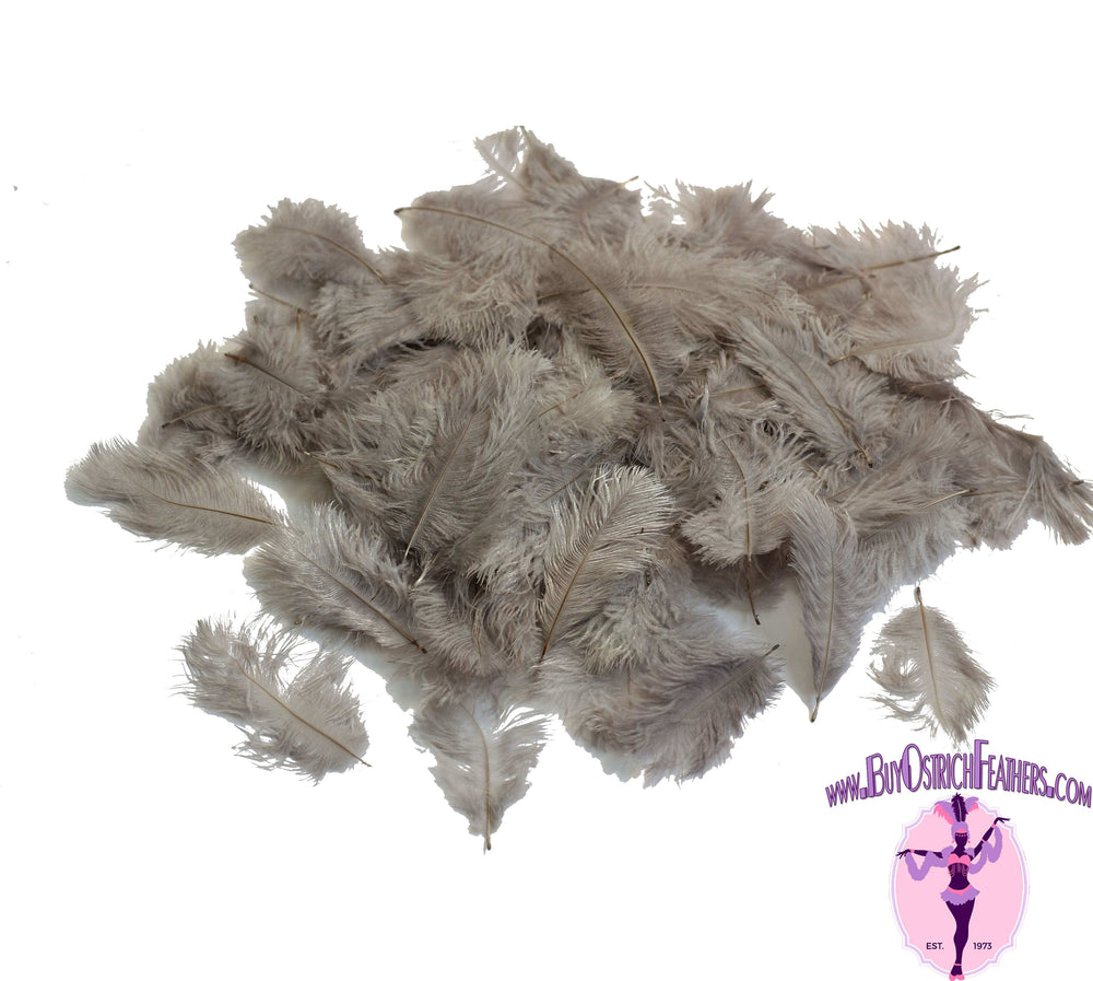 Confetti Craft Ostrich Feathers (Silver/Grey) - Buy Ostrich Feathers