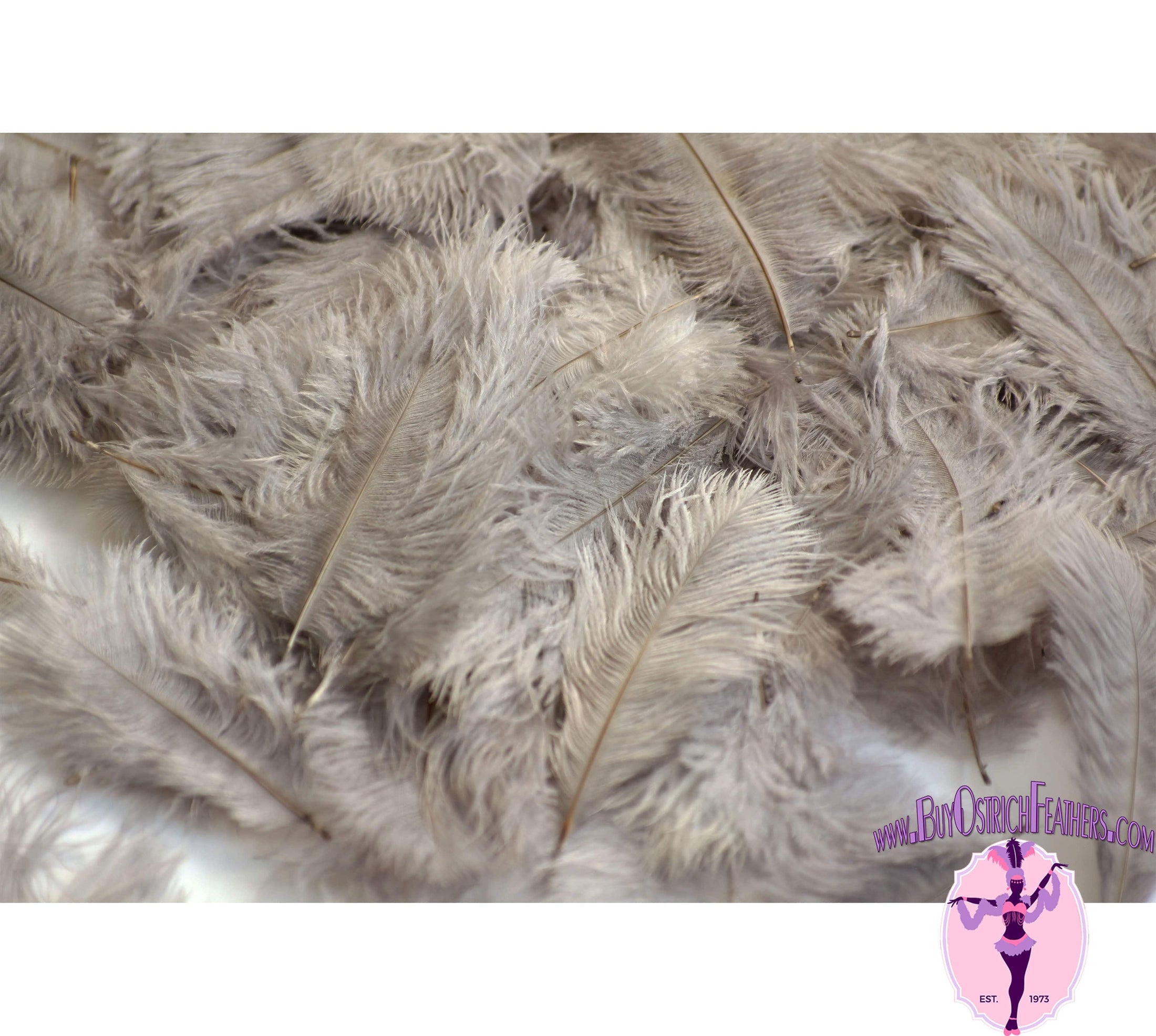 Confetti Craft Ostrich Feathers (Silver/Grey) - Buy Ostrich Feathers