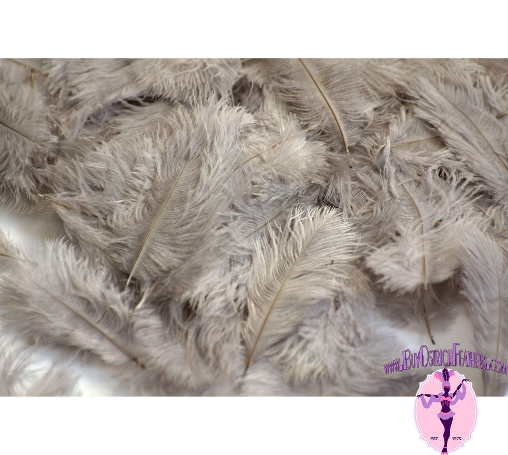 
                  
                    Confetti Craft Ostrich Feathers (Silver/Grey) - Buy Ostrich Feathers
                  
                