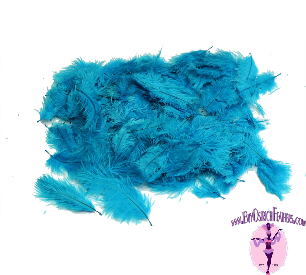 Confetti Craft Ostrich Feathers (Turquoise) - Buy Ostrich Feathers