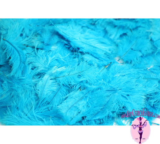 Confetti Craft Ostrich Feathers (Turquoise) - Buy Ostrich Feathers