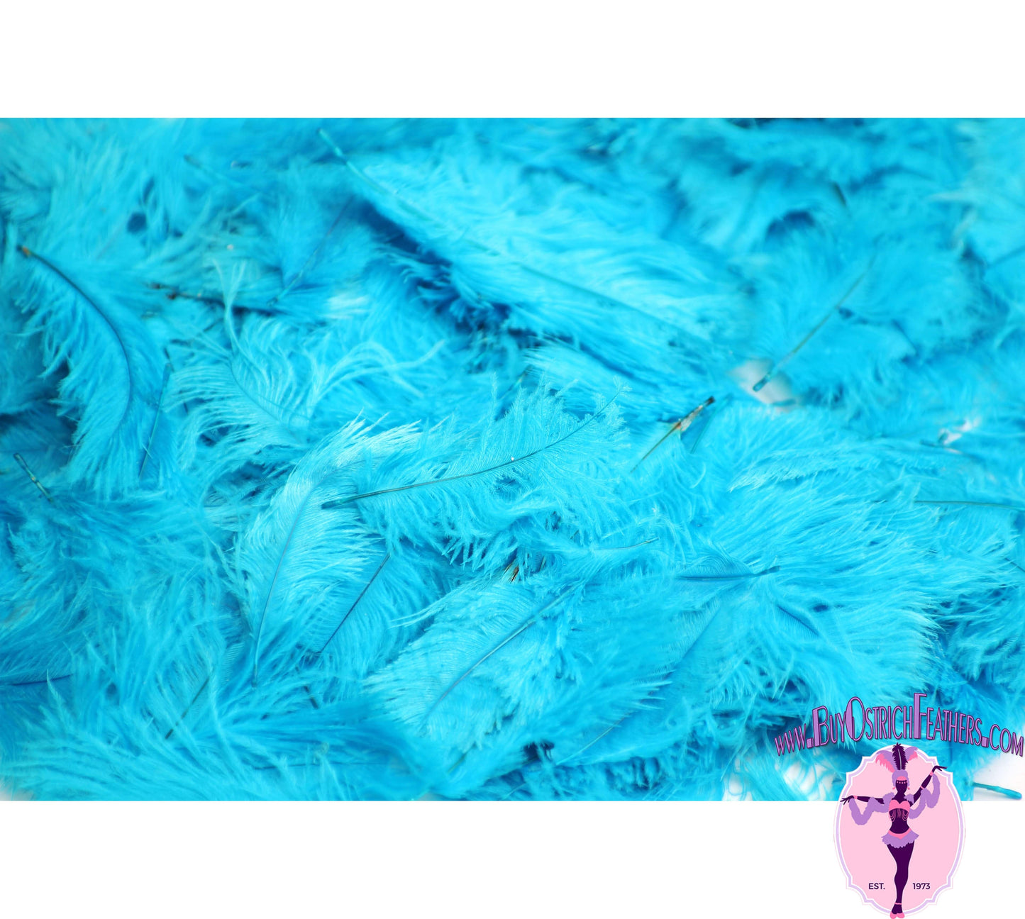 
                  
                    Confetti Craft Ostrich Feathers (Turquoise) - Buy Ostrich Feathers
                  
                