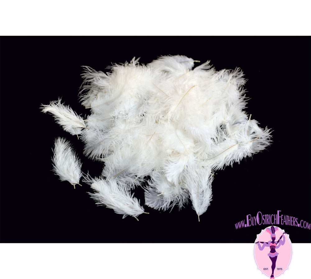 Confetti Craft Ostrich Feathers (White) - Buy Ostrich Feathers