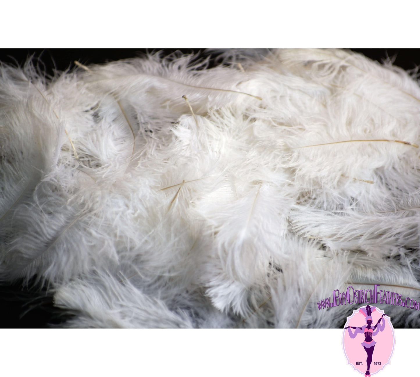 
                  
                    Confetti Craft Ostrich Feathers (White) - Buy Ostrich Feathers
                  
                